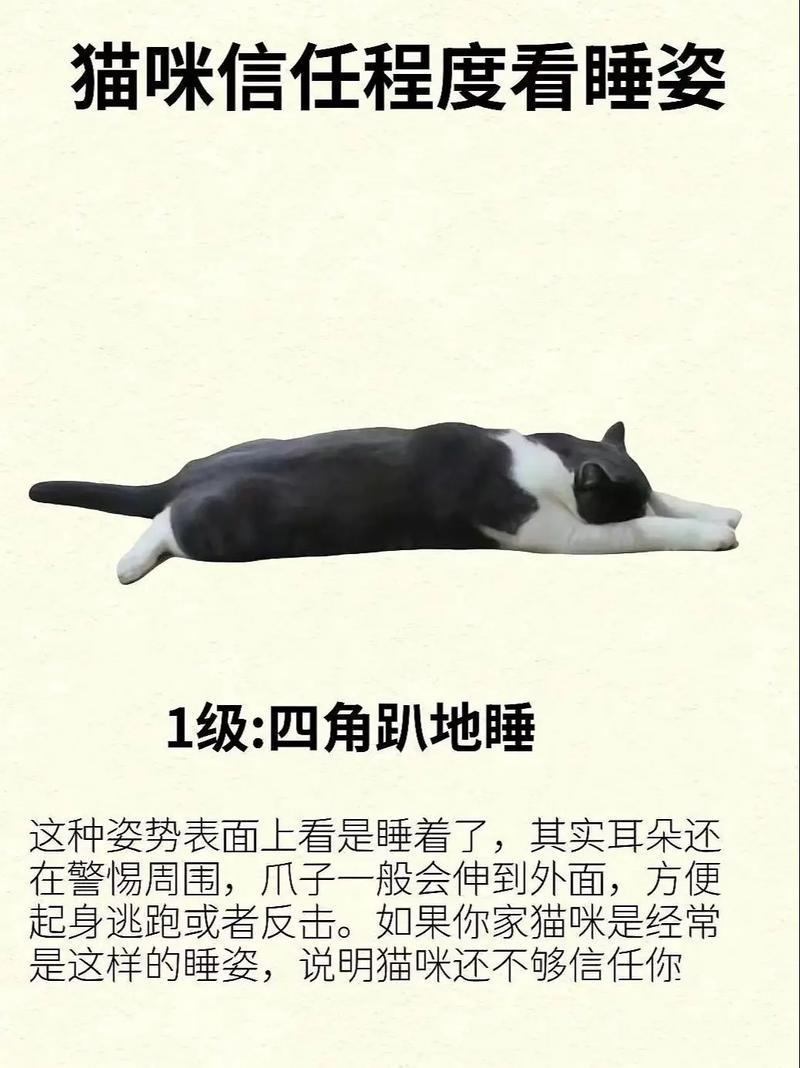 猫咪的睡姿代表了什么,猫咪的各种睡姿代表什么?-第3张图片-后鲨宠物 猫咪的睡姿代表了什么,猫咪的各种睡姿代表什么?-第3张图片-后鲨宠物