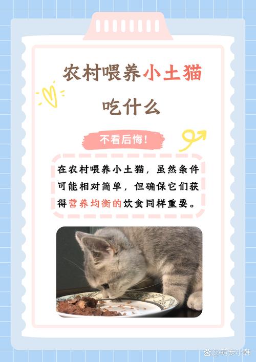 猫咪可以吃什么肉,猫咪可以吃什么肉和蔬菜?-第3张图片-后鲨宠物 猫咪可以吃什么肉,猫咪可以吃什么肉和蔬菜?-第3张图片-后鲨宠物