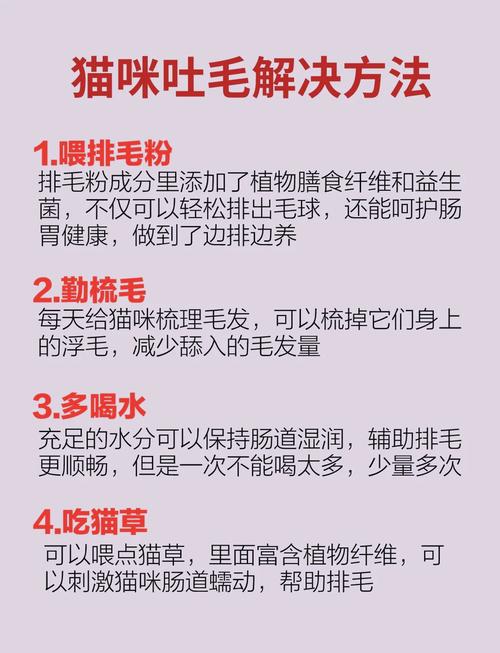 猫咪老是吐是什么原因_猫咪老是吐是什么原因引起的-第5张图片-后鲨宠物 猫咪老是吐是什么原因_猫咪老是吐是什么原因引起的-第5张图片-后鲨宠物