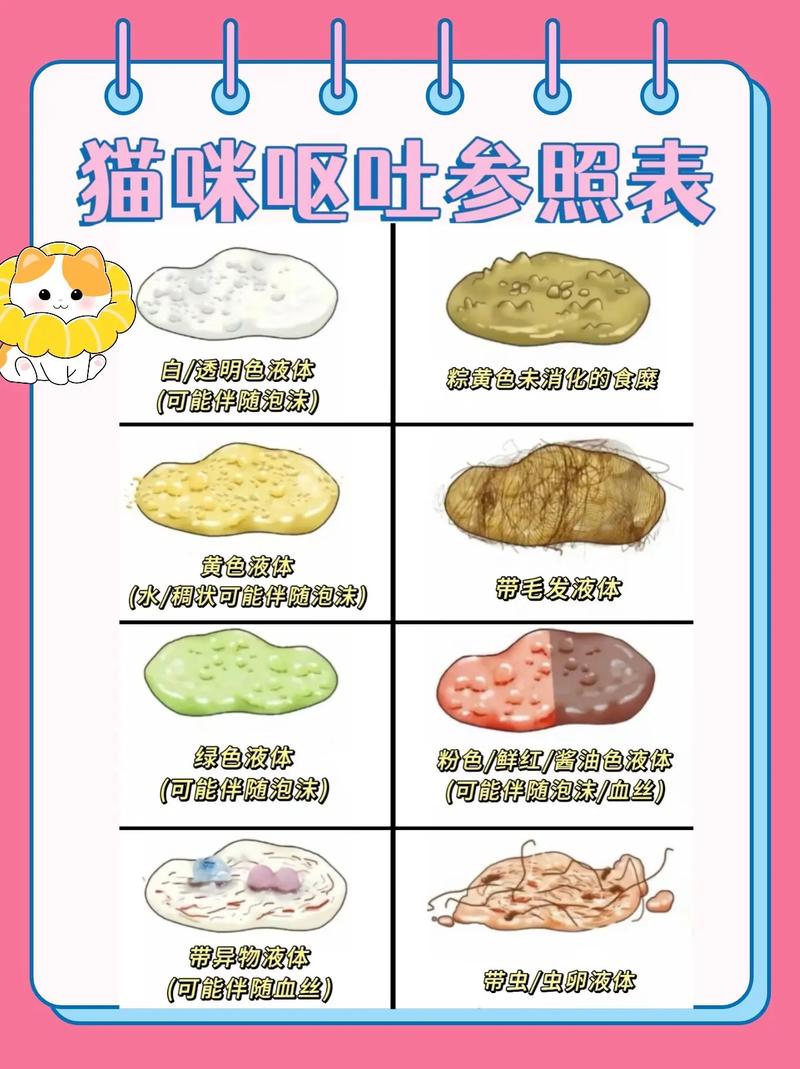 猫咪老是吐是什么原因_猫咪老是吐是什么原因引起的-第6张图片-后鲨宠物 猫咪老是吐是什么原因_猫咪老是吐是什么原因引起的-第6张图片-后鲨宠物