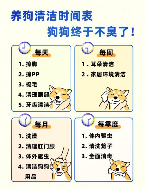 小狗狗多久可以洗澡_狗狗刚满月可以洗澡吗