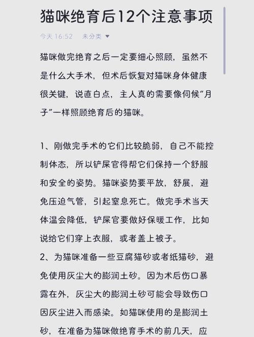 猫咪绝育手术后护理,猫咪绝育手术后护理方法-第1张图片-后鲨宠物 猫咪绝育手术后护理,猫咪绝育手术后护理方法-第1张图片-后鲨宠物