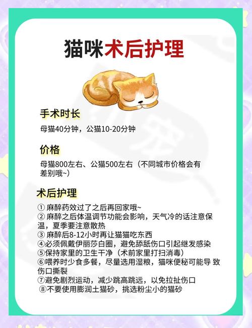 猫咪绝育手术后护理,猫咪绝育手术后护理方法-第5张图片-后鲨宠物 猫咪绝育手术后护理,猫咪绝育手术后护理方法-第5张图片-后鲨宠物
