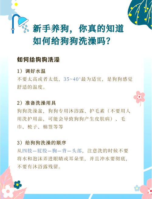 给狗狗洗澡怎么洗_给狗狗洗澡怎么洗的-第5张图片-后鲨宠物 给狗狗洗澡怎么洗_给狗狗洗澡怎么洗的-第5张图片-后鲨宠物