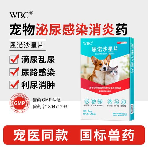 猫咪尿道炎吃什么药_猫咪尿道炎吃什么药好得最快-第1张图片-后鲨宠物 猫咪尿道炎吃什么药_猫咪尿道炎吃什么药好得最快-第1张图片-后鲨宠物