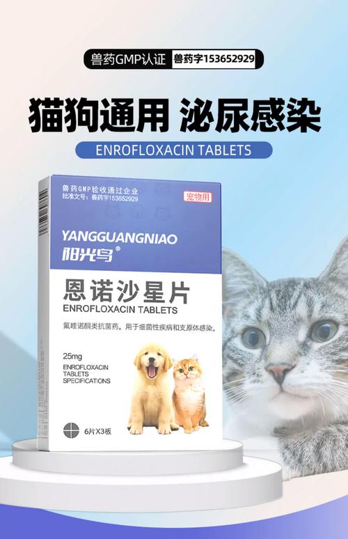 猫咪尿道炎吃什么药_猫咪尿道炎吃什么药好得最快-第2张图片-后鲨宠物 猫咪尿道炎吃什么药_猫咪尿道炎吃什么药好得最快-第2张图片-后鲨宠物