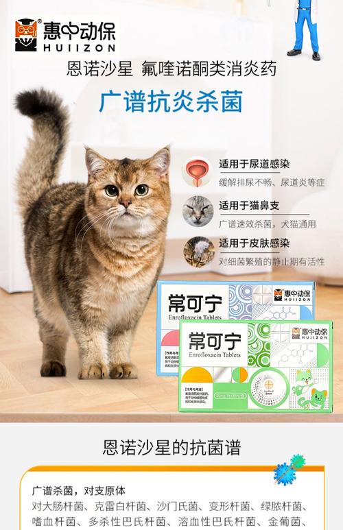 猫咪尿道炎吃什么药_猫咪尿道炎吃什么药好得最快-第4张图片-后鲨宠物 猫咪尿道炎吃什么药_猫咪尿道炎吃什么药好得最快-第4张图片-后鲨宠物