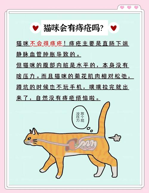 怀孕猫咪流血怎么回事,怀孕的猫流血是怎么回事?-第5张图片-后鲨宠物 怀孕猫咪流血怎么回事,怀孕的猫流血是怎么回事?-第5张图片-后鲨宠物