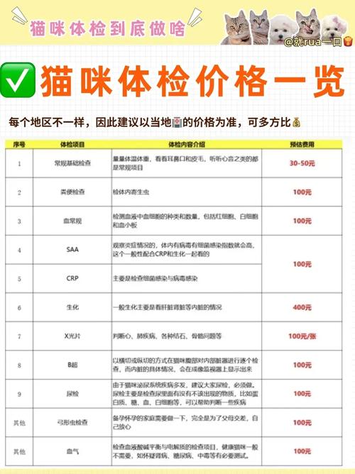 猫咪照ct多少钱,猫猫照ct-第4张图片-后鲨宠物 猫咪照ct多少钱,猫猫照ct-第4张图片-后鲨宠物