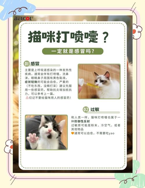 猫咪过敏打喷嚏怎么办,猫过敏性打喷嚏是怎么回事?-第4张图片-后鲨宠物 猫咪过敏打喷嚏怎么办,猫过敏性打喷嚏是怎么回事?-第4张图片-后鲨宠物