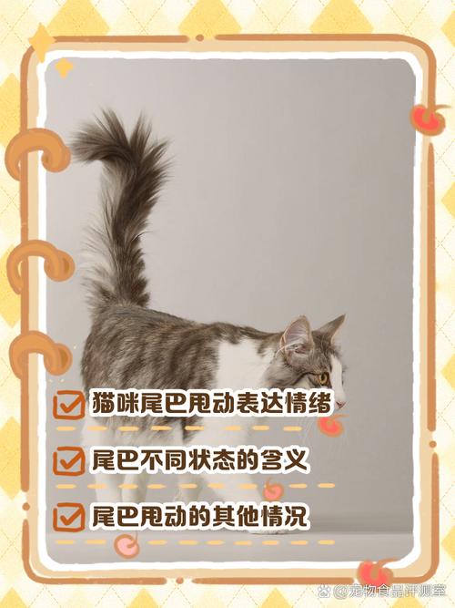 猫咪甩尾巴是什么意思,猫甩尾巴是不耐烦吗-第4张图片-后鲨宠物 猫咪甩尾巴是什么意思,猫甩尾巴是不耐烦吗-第4张图片-后鲨宠物