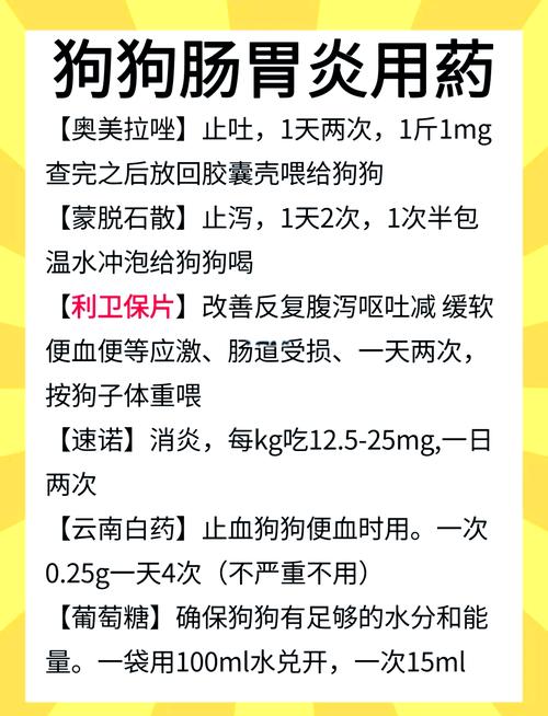 狗狗肠胃炎吃什么药最管用_狗狗肠胃炎吃什么药比较好-第2张图片-后鲨宠物