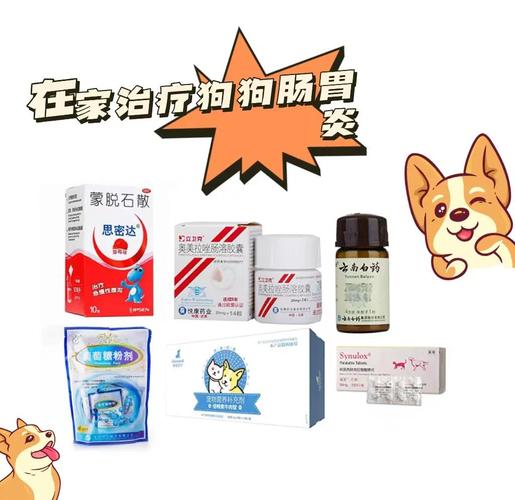 狗狗肠胃炎吃什么药最管用_狗狗肠胃炎吃什么药比较好-第3张图片-后鲨宠物