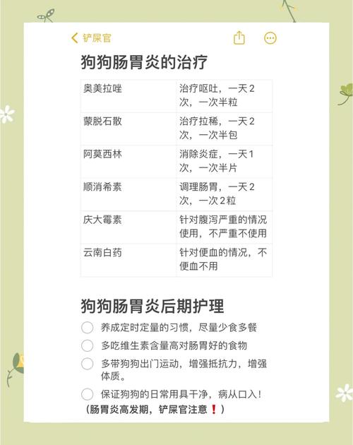 狗狗肠胃炎吃什么药最管用_狗狗肠胃炎吃什么药比较好-第4张图片-后鲨宠物