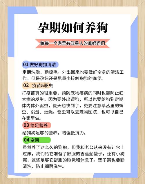 孕妇可以养狗狗吗_孕妇能养狗吗养狗对孕妇好不好-第3张图片-后鲨宠物