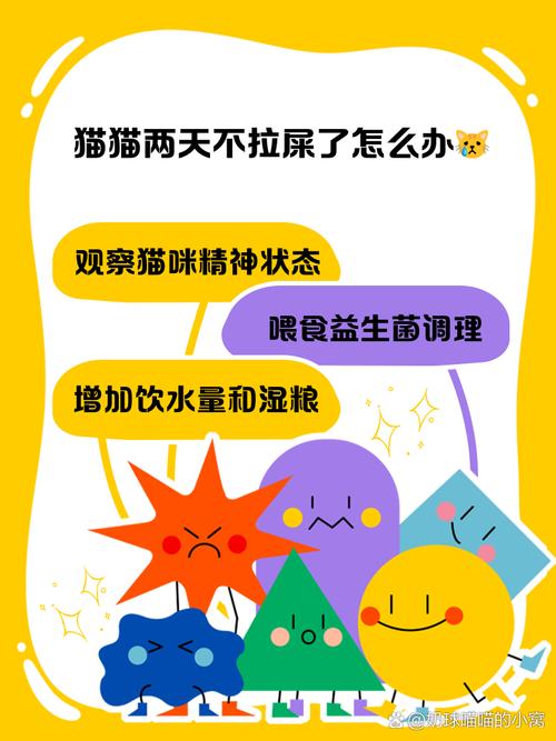 猫咪三天不拉屎怎么办_猫三天没拉屎但是撒尿-第4张图片-后鲨宠物 猫咪三天不拉屎怎么办_猫三天没拉屎但是撒尿-第4张图片-后鲨宠物