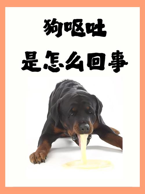 狗狗到新家的注意事项,狗狗到新家会有什么反应?-第6张图片-后鲨宠物 狗狗到新家的注意事项,狗狗到新家会有什么反应?-第6张图片-后鲨宠物