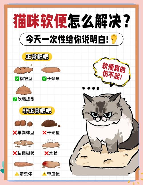 猫咪软便的原因,猫咪一切正常但是软便?-第2张图片-后鲨宠物 猫咪软便的原因,猫咪一切正常但是软便?-第2张图片-后鲨宠物