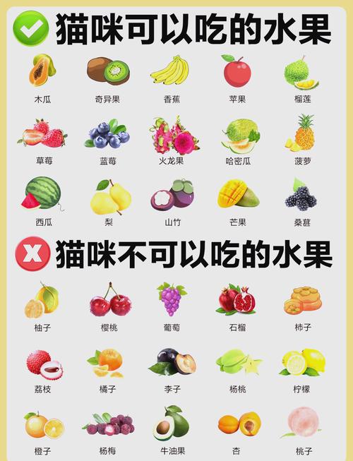 猫咪能吃草莓吗,猫咪能不能吃草莓?-第3张图片-后鲨宠物 猫咪能吃草莓吗,猫咪能不能吃草莓?-第3张图片-后鲨宠物