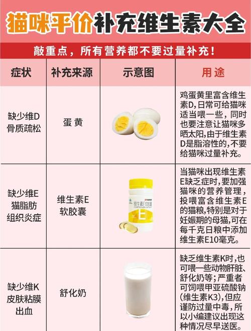 猫咪怎么补充维生素_小猫怎么补充维生素-第1张图片-后鲨宠物 猫咪怎么补充维生素_小猫怎么补充维生素-第1张图片-后鲨宠物