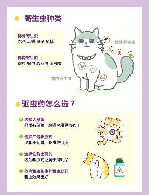 猫咪多久体外驱虫一次,多久给猫体外驱虫?-第6张图片-后鲨宠物 猫咪多久体外驱虫一次,多久给猫体外驱虫?-第6张图片-后鲨宠物