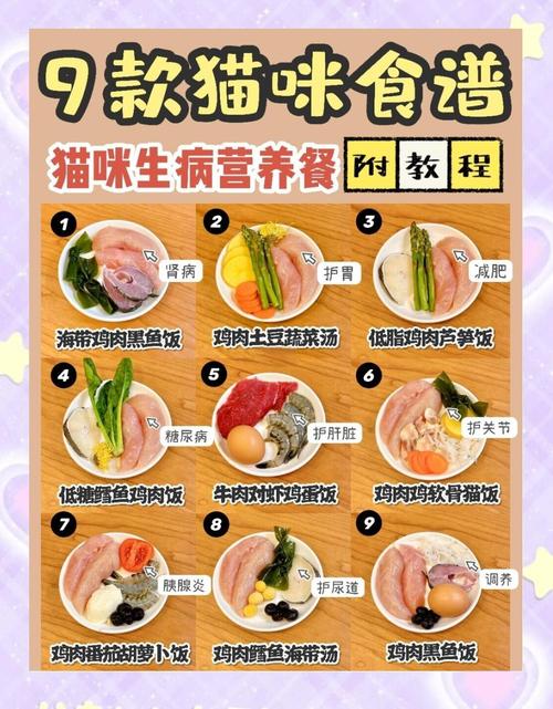 猫咪生产后吃什么好,猫咪生产后吃啥?-第3张图片-后鲨宠物 猫咪生产后吃什么好,猫咪生产后吃啥?-第3张图片-后鲨宠物