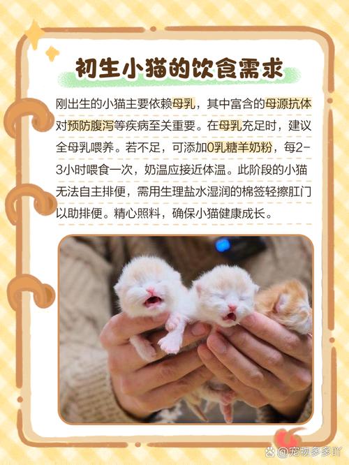 猫咪生产后吃什么好,猫咪生产后吃啥?-第5张图片-后鲨宠物 猫咪生产后吃什么好,猫咪生产后吃啥?-第5张图片-后鲨宠物