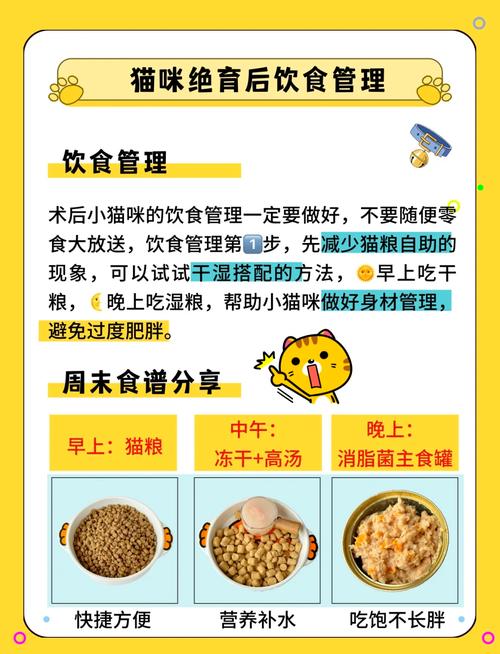 猫咪生产后吃什么好,猫咪生产后吃啥?-第6张图片-后鲨宠物 猫咪生产后吃什么好,猫咪生产后吃啥?-第6张图片-后鲨宠物