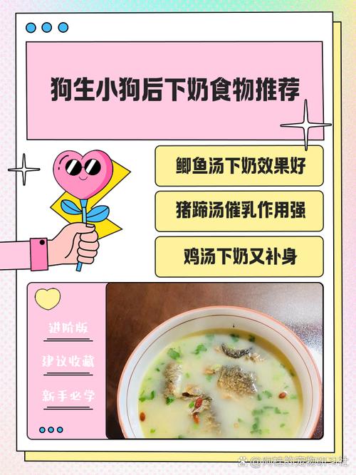 狗狗吃什么下奶_狗狗吃什么下奶最快比较多最有效的方法-第2张图片-后鲨宠物 狗狗吃什么下奶_狗狗吃什么下奶最快比较多最有效的方法-第2张图片-后鲨宠物