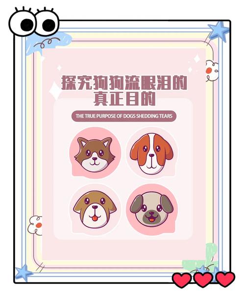 狗狗会流眼泪吗,狗狗会流眼泪吗怎么回事?-第5张图片-后鲨宠物 狗狗会流眼泪吗,狗狗会流眼泪吗怎么回事?-第5张图片-后鲨宠物