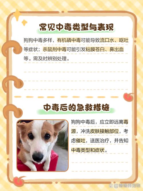 狗狗84中毒什么症状,幼犬84中毒?-第4张图片-后鲨宠物 狗狗84中毒什么症状,幼犬84中毒?-第4张图片-后鲨宠物