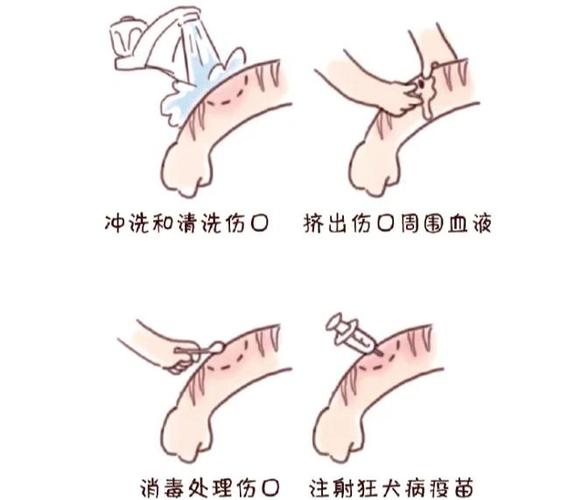 狗狗可以用云南白药吗,狗子能用云南白药吗-第3张图片-后鲨宠物 狗狗可以用云南白药吗,狗子能用云南白药吗-第3张图片-后鲨宠物