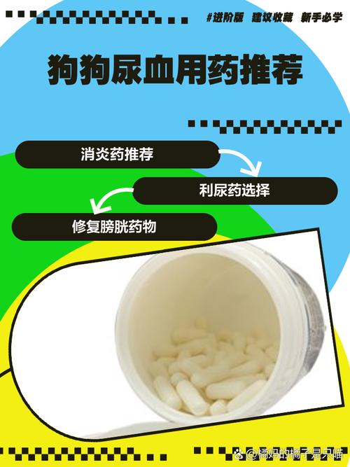 狗狗可以用云南白药吗,狗子能用云南白药吗-第5张图片-后鲨宠物 狗狗可以用云南白药吗,狗子能用云南白药吗-第5张图片-后鲨宠物
