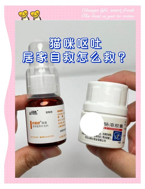 猫咪呕吐吃什么药好,猫呕吐吃什么药好得最快?-第1张图片-后鲨宠物 猫咪呕吐吃什么药好,猫呕吐吃什么药好得最快?-第1张图片-后鲨宠物