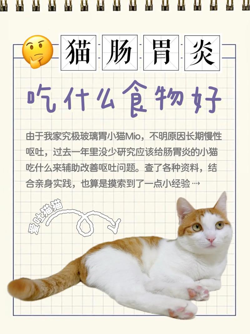 猫咪呕吐吃什么药好,猫呕吐吃什么药好得最快?-第2张图片-后鲨宠物 猫咪呕吐吃什么药好,猫呕吐吃什么药好得最快?-第2张图片-后鲨宠物