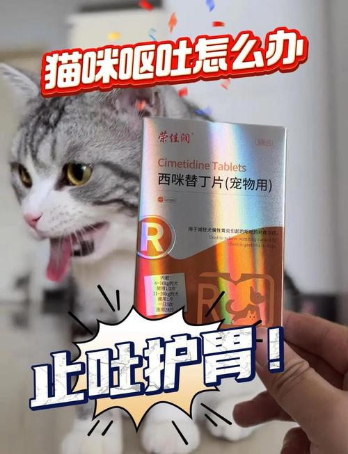 猫咪呕吐吃什么药好,猫呕吐吃什么药好得最快?-第5张图片-后鲨宠物 猫咪呕吐吃什么药好,猫呕吐吃什么药好得最快?-第5张图片-后鲨宠物