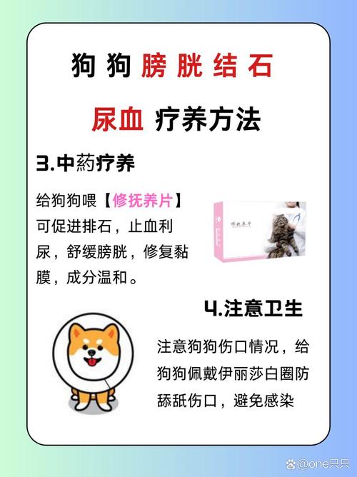  狗狗尿失禁吃什么药，狗狗尿失禁了