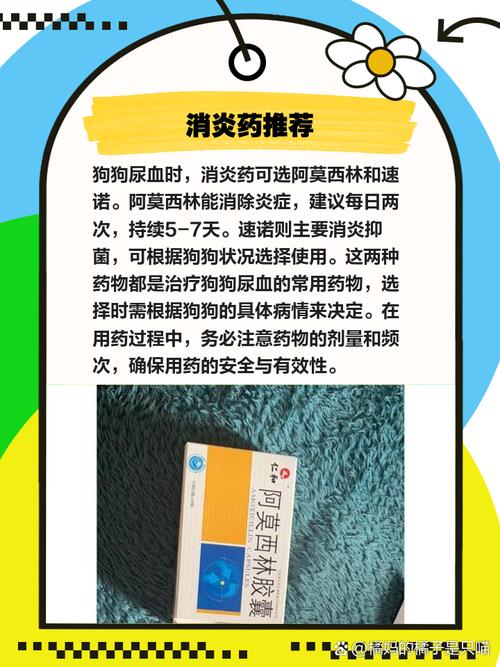  狗狗尿失禁吃什么药，狗狗尿失禁了-第3张图片-后鲨宠物