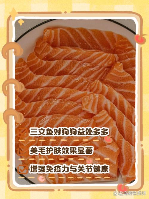 狗狗吃三文鱼过敏症状,狗狗吃三文鱼过敏症状有哪些-第1张图片-后鲨宠物 狗狗吃三文鱼过敏症状,狗狗吃三文鱼过敏症状有哪些-第1张图片-后鲨宠物