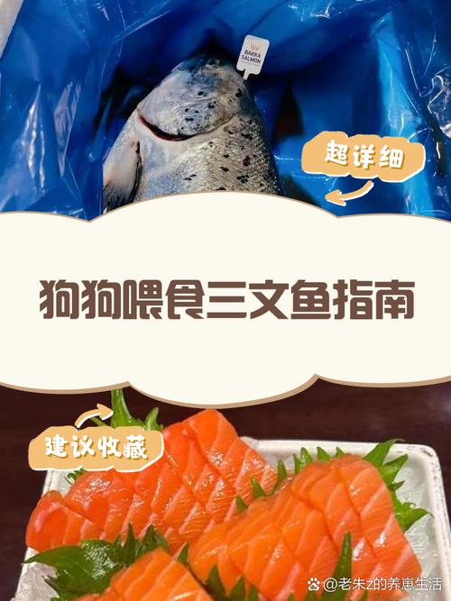 狗狗吃三文鱼过敏症状,狗狗吃三文鱼过敏症状有哪些-第2张图片-后鲨宠物 狗狗吃三文鱼过敏症状,狗狗吃三文鱼过敏症状有哪些-第2张图片-后鲨宠物