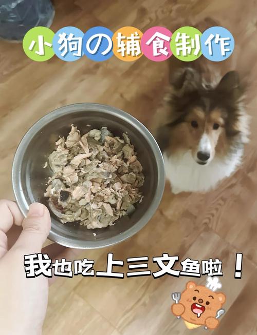 狗狗吃三文鱼过敏症状,狗狗吃三文鱼过敏症状有哪些-第3张图片-后鲨宠物 狗狗吃三文鱼过敏症状,狗狗吃三文鱼过敏症状有哪些-第3张图片-后鲨宠物