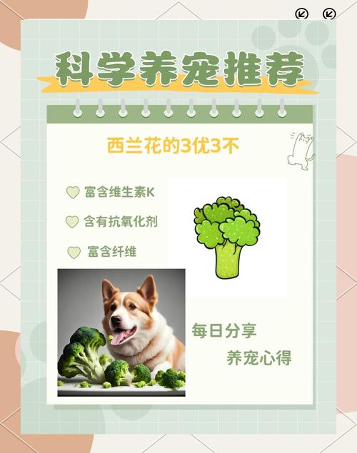狗狗能吃西蓝花吗_狗狗可以吃西蓝花根吗-第4张图片-后鲨宠物 狗狗能吃西蓝花吗_狗狗可以吃西蓝花根吗-第4张图片-后鲨宠物