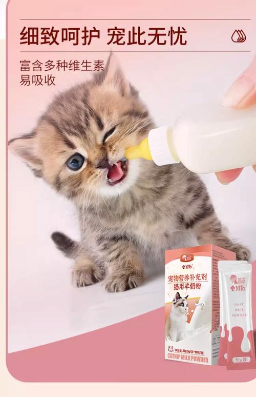 猫咪喝什么奶粉,猫咪喝什么奶粉??-第1张图片-后鲨宠物 猫咪喝什么奶粉,猫咪喝什么奶粉??-第1张图片-后鲨宠物