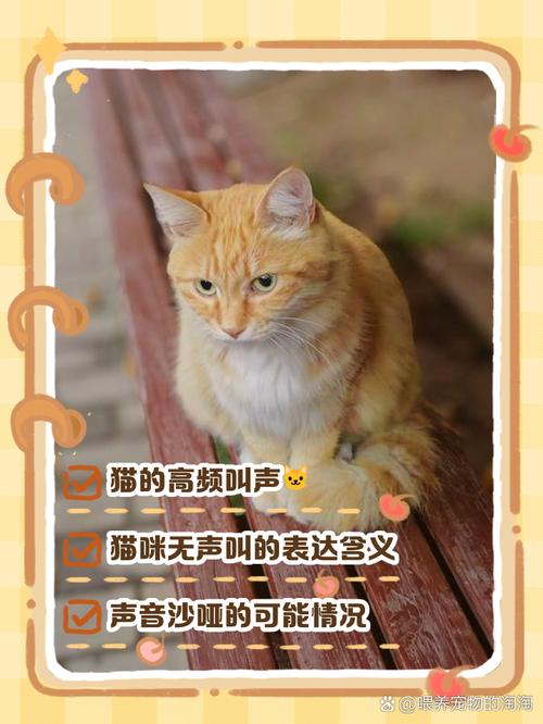 猫咪叫不出声音,猫咪叫不出声音特别沙哑-第5张图片-后鲨宠物 猫咪叫不出声音,猫咪叫不出声音特别沙哑-第5张图片-后鲨宠物