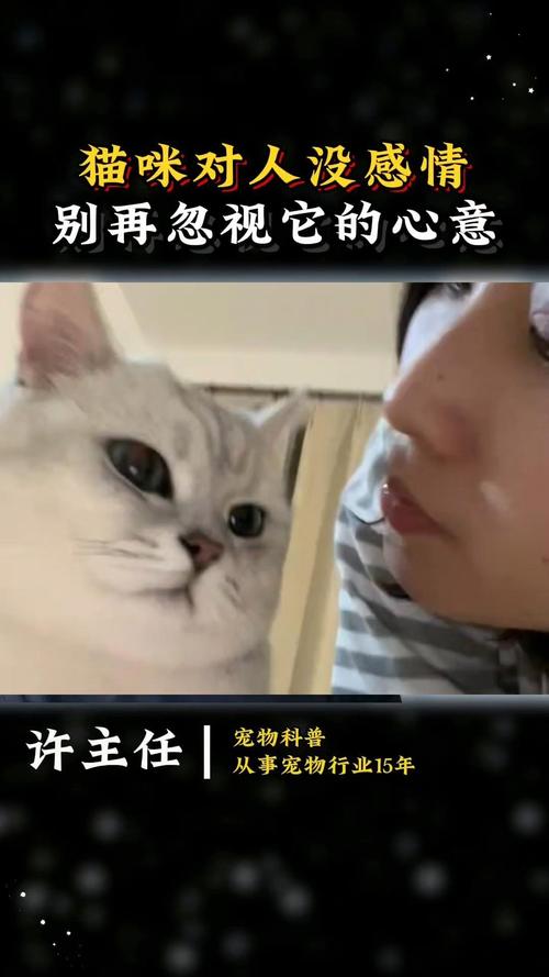 猫咪之间有爱情吗，猫咪之间有亲情吗？-第4张图片-后鲨宠物