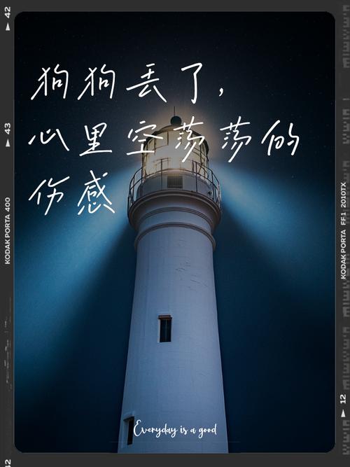 狗狗会思念主人吗_狗狗会想念自己的主人吗-第3张图片-后鲨宠物