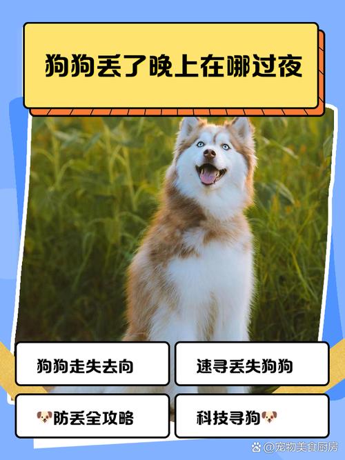 狗狗会思念主人吗_狗狗会想念自己的主人吗-第5张图片-后鲨宠物