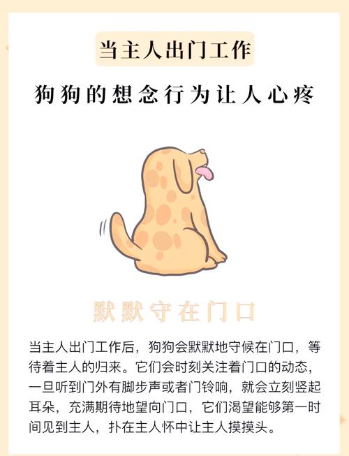 狗狗会思念主人吗_狗狗会想念自己的主人吗-第6张图片-后鲨宠物