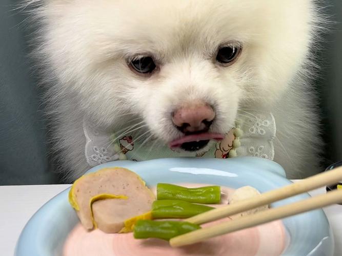 狗狗吃生豆角会中毒吗_狗狗吃生豆角会中毒吗视频