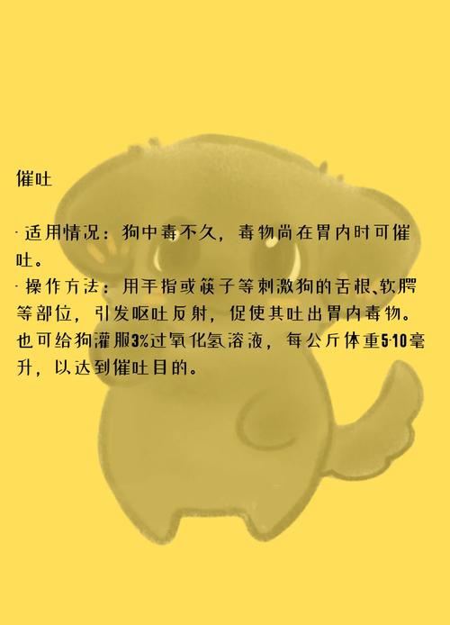 狗狗吃生豆角会中毒吗_狗狗吃生豆角会中毒吗视频-第3张图片-后鲨宠物 狗狗吃生豆角会中毒吗_狗狗吃生豆角会中毒吗视频-第3张图片-后鲨宠物